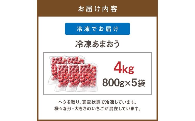 急速冷凍！人気のあまおう 冷凍いちご 大容量4kg【JAほたるの里】_HA1514