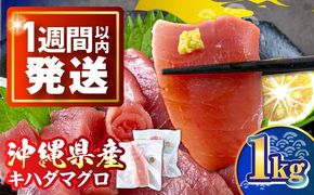 冷凍キハダマグロ 1kg (500g×2パック) マグロ まぐろ 小分け 冷凍 刺身 赤身 沖縄市 / 沖縄市漁業協同組合 パヤオ直売店[BCDZ001]