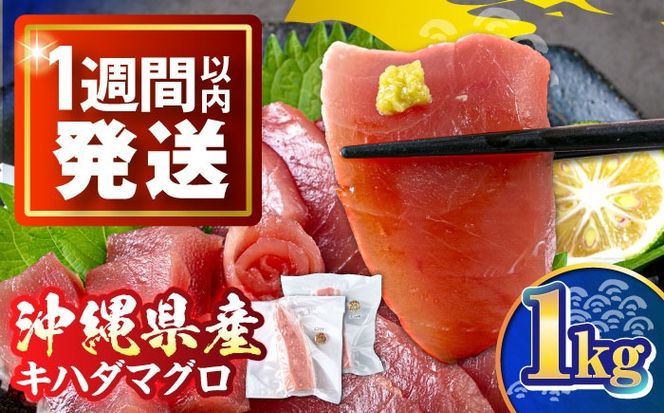 冷凍キハダマグロ 1kg (500g×2パック) マグロ まぐろ 小分け 冷凍 刺身 赤身 沖縄市 / 沖縄市漁業協同組合 パヤオ直売店[BCDZ001]