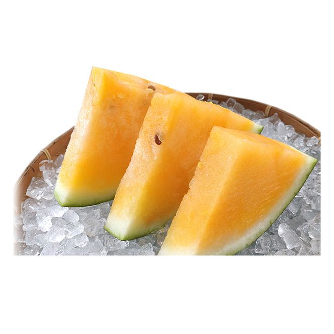 1116.鳥取県産 金色羅皇スイカ 1玉 7-9キロ前後（こちらの返礼品は、大栄西瓜ではありません） 313726_CK002