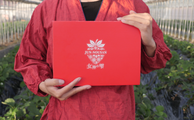 【伊勢神宮おはらい町で3時間で完売】グルメ家が「今までで1番旨い」とうなったイチゴ【女神の雫】 2026年1月 2月 3月 4月 450g 岐阜県 美濃市 じゅん農産 2 苺