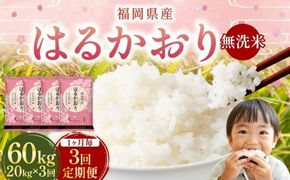 【 1ヶ月毎3回定期便 】 【 無洗米 】 はるかおり 20kg （ 5kg × 4袋 ） 計60kg お米 米 こめ コメ 白米 白飯 飯 ご飯 おにぎり 和食 国産 福岡県産 定期 定期配送
