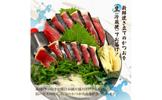 【2回定期便】初鰹・戻り鰹！！ 高知のお魚定期便！！生鰹藁焼きタタキ〈5月・11月〉 / 年2回お届け 1～3節 3～5人前 タタキ 鰹のタタキ 藁焼き 生カツオ 薬味 タレ付き【さかなの森澤　マル祐】