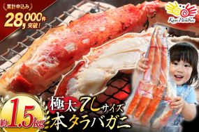 本 タラバガニ 脚 ボイル済 約1.5kg 極太7Lサイズ [カネダイ 宮城県 気仙沼市 20564326] カニ かに 蟹 たらばがに たらば蟹 タラバ蟹 たらば タラバ ボイル