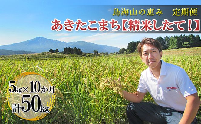 米 お米 【定期便】5kg×10ヶ月 鳥海山の恵み 農家直送！ あきたこまち［精米 したて！］ 10カ月 10回 サブスク