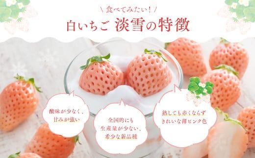 いちご 白いちご 淡雪 【先行予約】 (2パック入×1箱) いちご 苺 イチゴ 先行受付 ストロベリー 人気 ［C-01］