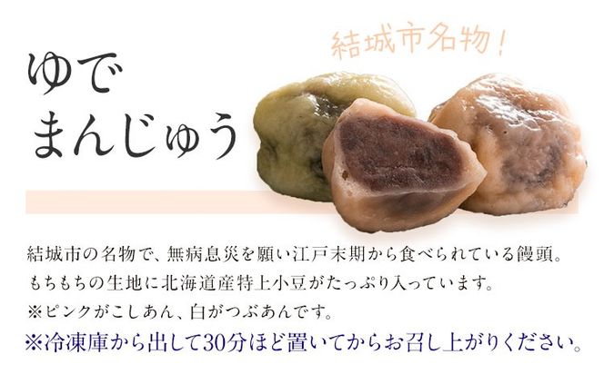 和菓子 シャインマスカット大福 ゆでまんじゅう カフェオレ大福 15個入  富士峰菓子舗《90日以内に出荷予定(土日祝除く)》 和菓子 手作り マスカットの香り ジューシー 手土産 お饅頭 もちもち コーヒー餡 【配送不可地域あり】---yuki_fjk_3_15p---