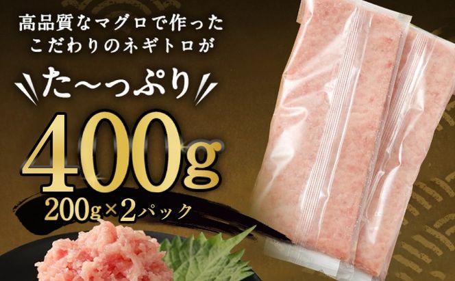 【交互定期便 / ６ヶ月連続】 土佐流藁焼きかつおのたたき2節と高豊丸ネギトロ400ｇ 魚介類 海産物 カツオ 鰹 わら焼き 高知 コロナ 緊急支援品 海鮮 冷凍 家庭用 訳あり 不揃い 規格外 連続 ６回 小分け 個包装 まぐろ マグロ 鮪 交互 藁 藁焼き かつお 室戸のたたき　tk055