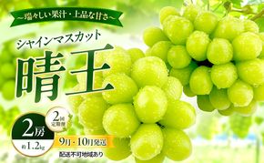 ぶどう 2026年 先行予約 定期便 シャインマスカット 晴王 2房 約1.2kg 9月・10月 2回発送 岡山県産 種無し 皮ごと食べる みずみずしい 甘い 瀬戸内 晴れの国 おかやま 果物大国 満天フルーツ