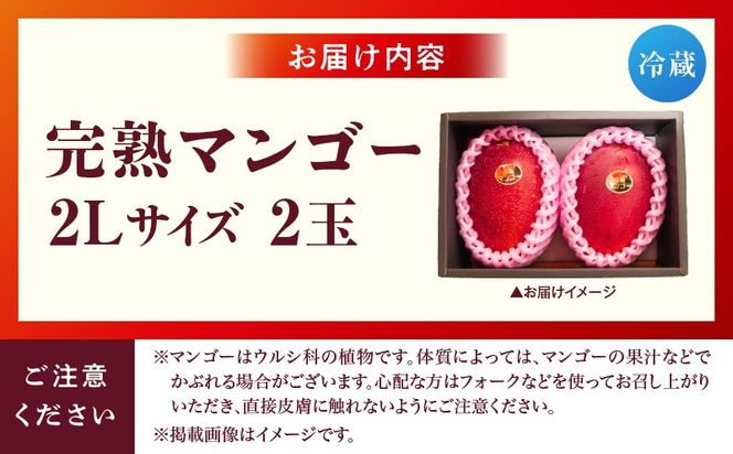 宮崎県産 完熟マンゴー 2玉 2L