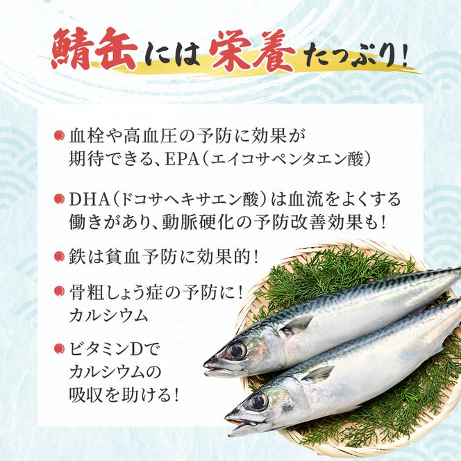 サバ缶 若狭の鯖缶 6缶 セット 水煮 鯖缶 さば サバ 鯖 缶 缶詰 魚 魚介 魚介類 海鮮 福井 若狭町 福井県若狭町 