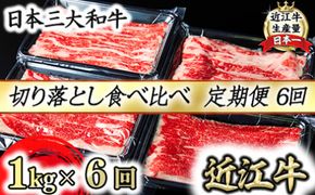 【定期便】全6回　A5 近江牛切り落とし食べ比べ 　250ｇ×4ｐ【FO27W】（国産牛　和牛　ブランド牛　ブランド和牛　黒毛和牛　牛肉　肉　高級　人気　おすすめ　神戸牛　松阪牛 に並ぶ 日本三大和牛 近江牛）