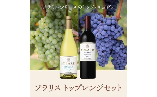 母の日 ワイン 信州ワイン 赤 白 ソラリス トップレンジセット ワインセット 赤ワイン 白ワイン シャルドネ メルロー 果実味 酸味 トースト香 スパイス 果実味 タンニン