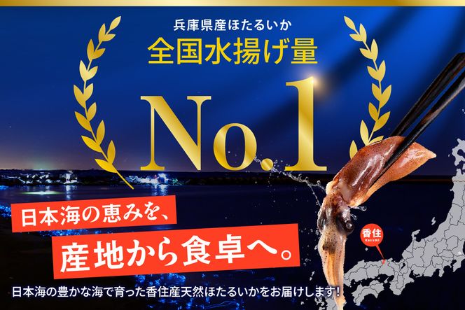 兵庫県香住産 刺身用 ほたるいか 小分け 250g×8パック 2kg 鍋用だし付 冷凍 【令和9年3月中旬以降発送予定】 国産 ほたるいか イカ 烏賊 生 海鮮 新鮮 刺し身 刺身 生食 しゃぶしゃぶ 鍋 海鮮鍋 ごはん ご飯 おかず お酒 酒 おつまみ お取り寄せ ギフト 贈答 人気 大人気 ふるさと納税 おすすめ 返礼品 兵庫県 香美町 香住 柴山 宿院商店 33-01
