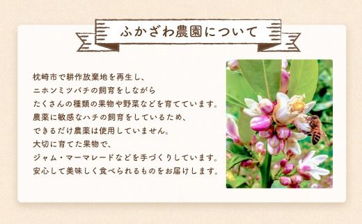 ふかざわ農園の梅シロップ 180ml×3瓶　手づくり シロップ ジュース 希釈用 A3-27 【1166382】_ 梅 うめ シロップ 炭酸割 調味料 美味しい 人気 送料無料 鹿児島県 枕崎市