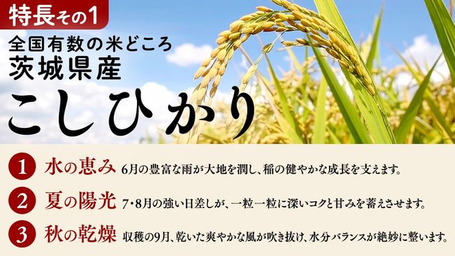 ＼ 選べる配送時期 ／【 金芽米 ( 無洗米 ) 】つくばみらい市産 コシヒカリ 5kg × 2袋 ( 計 10kg ) きんめまい 米 お米 無洗米 茨城県 カロリーオフ 低カロリー 東洋ライス 節水 時短 アウトドア キャンプ [EK01-NT00]
