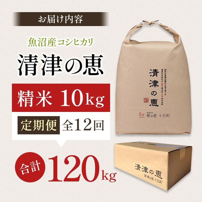 【令和8年産 先行予約】〈定期便〉魚沼産特別栽培米コシヒカリ［清津の恵］精米10kg（5kgx2袋）全12回