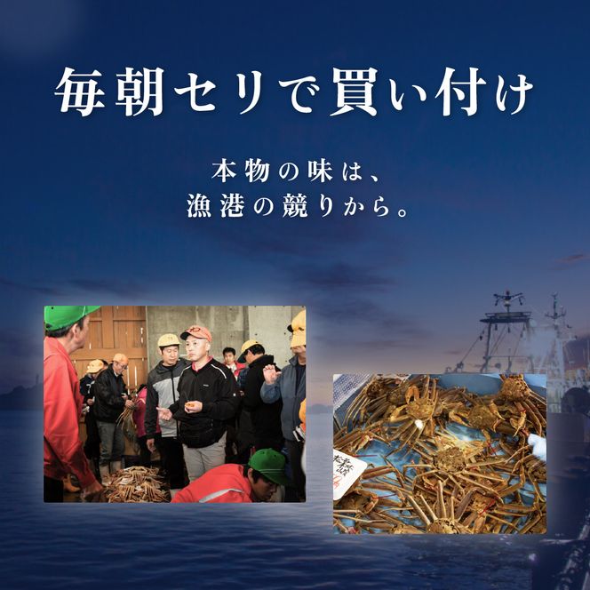 1063.【2026年12月発送】鳥取県産 特撰 親がに 姿【セコガニ】（なま）150g　8杯 313726_BS059