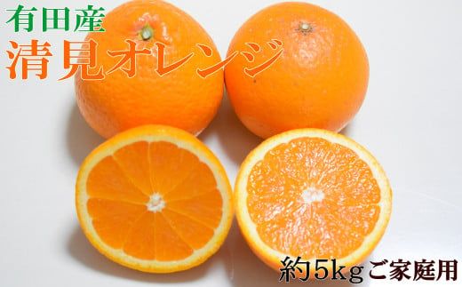 【先行予約】【濃厚】有田産清見オレンジ約5kg(M～3Lサイズおまかせ)ご家庭用 ※2027年2月中旬～2027年3月中旬頃発送予定（お届け日指定不可）/ みかん くだもの 果物 フルーツ 柑橘 オレンジ 清見オレンジ【tec959A】