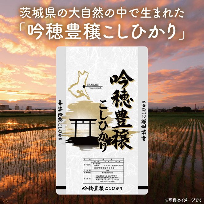 ＜令和8年産 ＞新米 吟穂豊穣こしひかり 30kg(5kg×6袋)コシヒカリ こしひかり 米 ごはん コメ お米 白米 国産 茨城県産