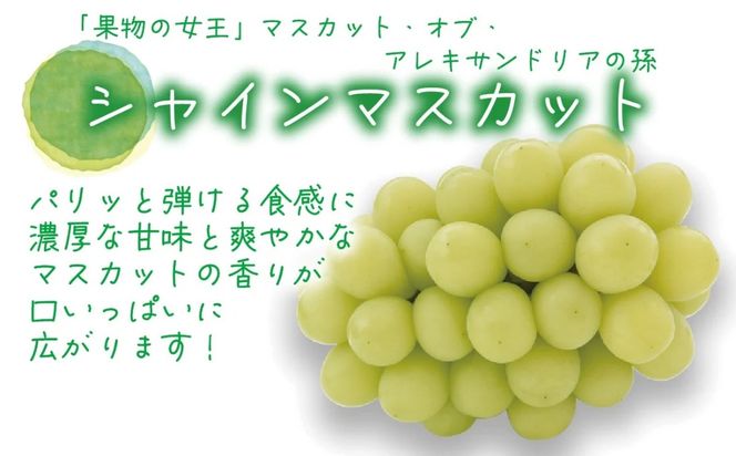 【2026年先行予約】花笑み農園 岡山の『シャイン&ラムピオーネジャム&飲む酢』S-JN【hana088-01】