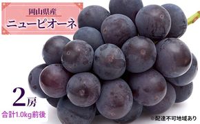 ぶどう 2026年 先行予約 ニュー ピオーネ 2房 合計1.0kg前後 ブドウ 葡萄  岡山県産 国産 フルーツ 果物 ギフト デザート 食後 種なし 大粒 甘みが強い 酸味 バランス 
