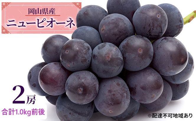 ぶどう 2026年 先行予約 ニュー ピオーネ 2房 合計1.0kg前後 ブドウ 葡萄  岡山県産 国産 フルーツ 果物 ギフト デザート 食後 種なし 大粒 甘みが強い 酸味 バランス 