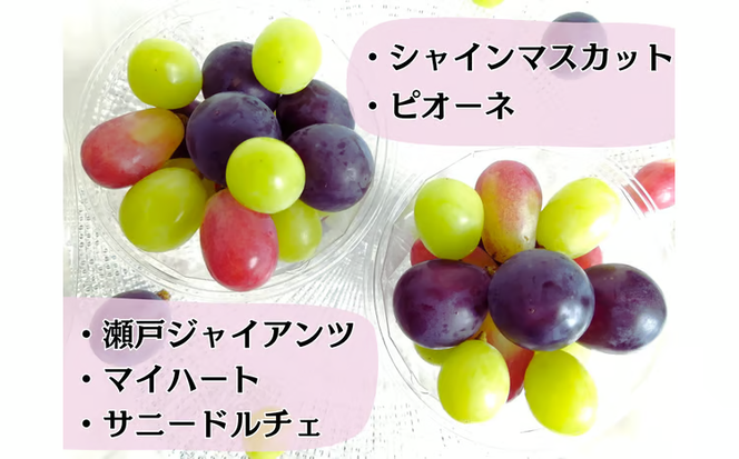 ※2026年の予約です！※【産地直送】フルーツ王国岡山！シャインマスカット入りぶどう粒カップ×２ / 岡山 真庭 シャインマスカット 食べ比べ 葡萄 ブドウ ぶどう 新鮮 果物 フルーツ 人気 数量限定 粒切 食べやすい ギフト ぶどう専門 林ファミリー (2026年9月～発送予定) 【hfbd002-02】