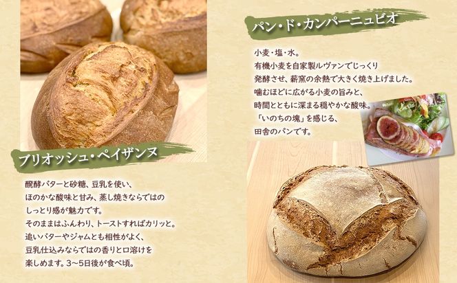 【薪窯焼き】香り高い大きなパン 3種セット (カンパーニュ・レザン・ブリオッシュ) ハード系パン レーズン パン セット K2686