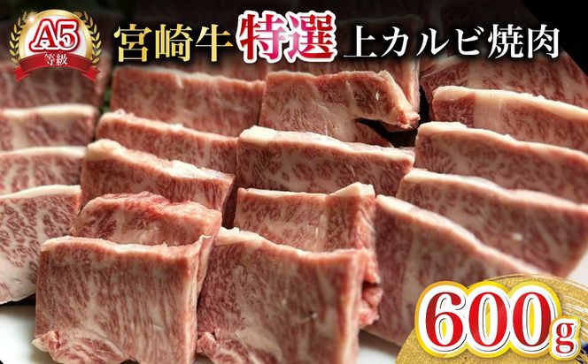 【新鮮チルド発送!!】A5等級宮崎牛特選上カルビ焼肉 600g（黒毛和牛 牛肉 宮崎牛 赤身 カルビ 焼肉用 宮崎県）