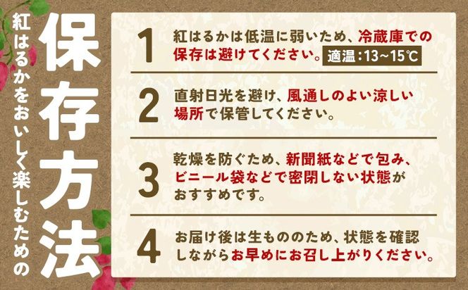 熟成 さつまいも 紅はるか 3kg 5kg S～2L 宇都宮農園《11月上旬-3月末頃出荷》 熊本県 大津町 さつま芋 芋 スイーツ 野菜 おやつ サツマイモ べにはるか---oz_utm_4_3kg---