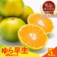 MK1056_【2026先行予約】ゆら早生 みかん 箱込 5kg ( 内容量 4.4kg ) S M Lサイズのいずれか 秀品 優品 混合 有田みかん 和歌山県産