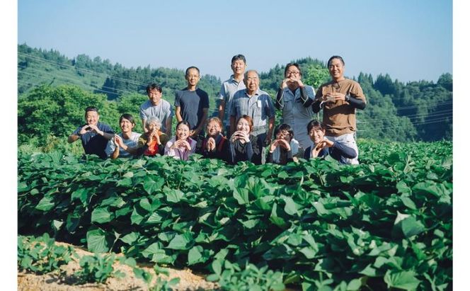とろ蜜干し芋セット ほし芋 いも さつまいも サツマイモ 新潟 