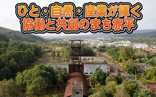 たかはしジンギスカン（ラム）400g×2袋 計800g  ふるさと納税 ラム肉 羊肉 