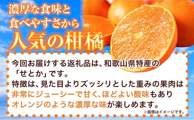 【先行予約】【家庭用 訳あり】とろける食感!ジューシー柑橘 せとか 約3kg 約5kg 株式会社魚鶴 《2026年2月上旬-3月中旬頃出荷》 和歌山県 日高川町 みかん 柑橘 果物 フルーツ 送料無料---wshg_uot106_2j3c_25_11000_3kg---