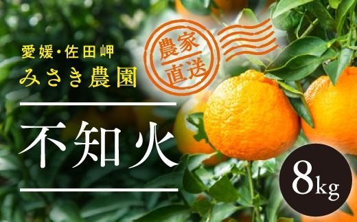 不知火 8kg ｜ 柑橘 みかん ミカン 蜜柑 mikan 産地直送 果物 フルーツ 愛媛県 伊方町 デコポン でこぽんと同品種　※北海道、沖縄・離島への配送不可　※2025年3月上旬頃から順次発送予定