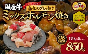 ＜チンするだけ！＞【秘伝のタレ漬け】国産牛ミックスホルモン焼き850ｇ（170ｇ×5パック）［鮮度を保つCAS冷凍］【 大阪府 門真市 】 272230_AS022