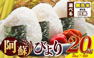 米 早期先行予約受付中 白米 無洗米 訳あり 送料無料 20kg 5kg×4袋 熊本県産 阿蘇びより《11月-12月頃出荷予定(土日祝除く)》 お米 コメ こめ 国産 熊本県 南阿蘇村 阿蘇 びより---mna_aby_24_h_20kg_35000_af11---