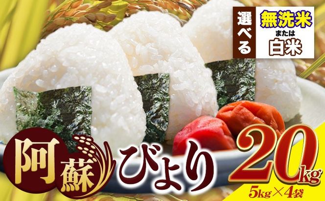 米 早期先行予約受付中 白米 無洗米 訳あり 送料無料 20kg 5kg×4袋 熊本県産 阿蘇びより《11月-12月頃出荷予定(土日祝除く)》 お米 コメ こめ 国産 熊本県 南阿蘇村 阿蘇 びより---mna_aby_24_h_20kg_35000_af11---