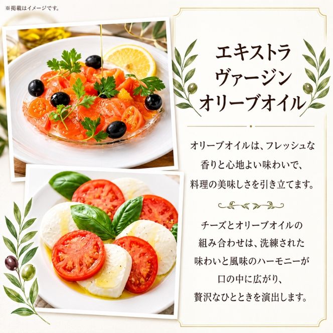 【ふるさと納税】6ヶ月定期便 フレッシュチーズ 2種 オリーブオイル セット モッツァレラ 100g 2個 ブッラータ 160g 1個 オリーブオイル 100ml チーズ おつまみ 送料無料 神奈川県 茅ヶ崎市