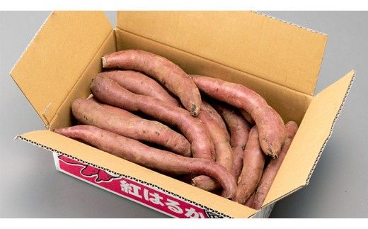 【 塚田商店 】 訳あり 茨城県産 さつま芋 紅はるか Sサイズ 5kg さつまいも サツマイモ いも 芋 イモ [BD009ci]