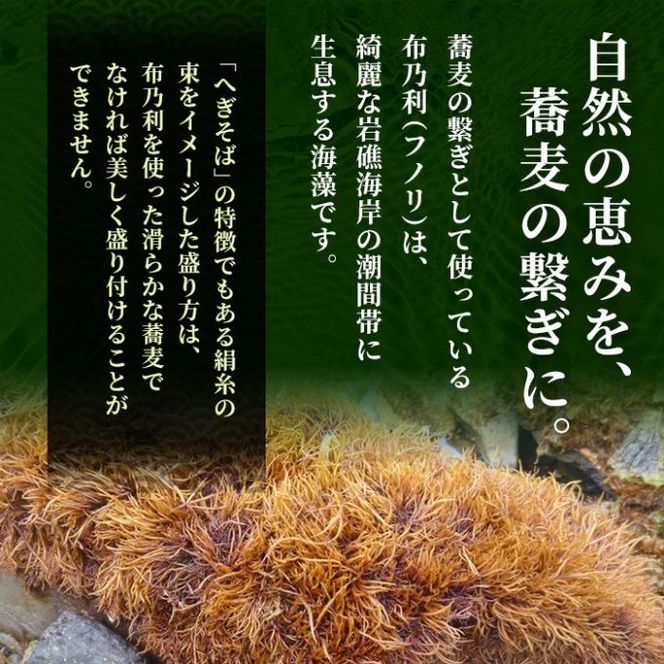 小嶋屋総本店 布乃利へぎそば 10把 セット 詰め合わせ へぎそば 蕎麦 乾麺 新潟 十日町市