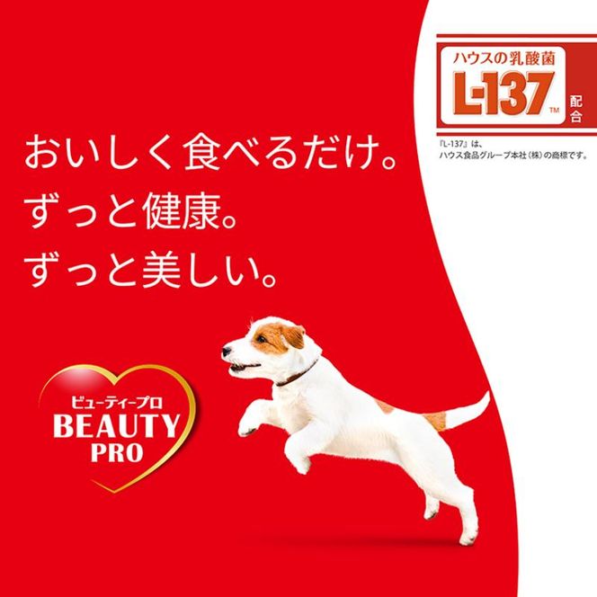 ビューティープロ ドッグ 10歳以上 200g ケース販売 ペットフード 犬 愛犬 ペット ペット用品 犬用 愛犬用 ごはん 静岡 袋井市