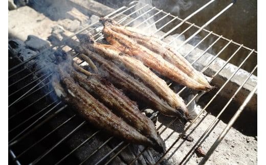 【備長炭で焼く“いい焦がし”】三河一色産うなぎの白焼 8尾 鰻 ウナギ 白焼き 国産 備長炭 土用 丑の日 冷凍 三河一色産 H189-035