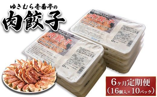 【6ヶ月定期便】ゆきむら壱番亭の肉餃子10パック(160個入り) ※離島への配送不可