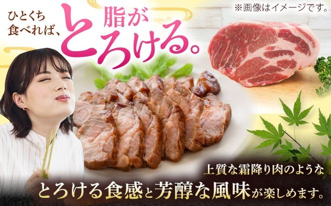 沖縄県産豚肉 肩ロースブロック 約1.8kg (900g×2P) 豚肉 肩ロース ブロック ブロック肉 小分け 冷凍 国産 沖縄市 / 宮城ふぁーむ[BCAJ006]