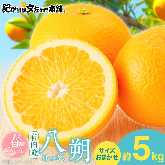 【2027年先行予約】八朔(はっさく)[約5kg]和歌山県有田産 春みかん(果実サイズおまかせ) 春柑橘 紀伊国屋文左衛門本舗_V7405