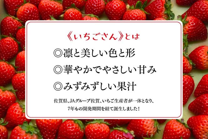 冷凍いちご 3kg（いちごさん)【佐賀県産 ブランド 冷凍いちご フレッシュ 冷凍フルーツ スムージー デザート お菓子作り シャーベット 甘い みずみずしい 無添加】(H126103)