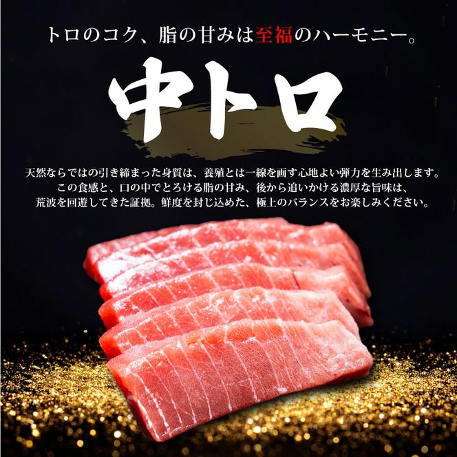 【スピード発送】 天然本まぐろ 赤身 中トロ セット 600g以上 訳あり まぐろ 刺身 さしみ 刺し身 鮮魚 まぐろ赤身 鮪 魚介 魚 マグロ 漬け ユッケ 海鮮丼 国産 天然まぐろ 高級 天然 人気 寿司 本鮪 お正月 年末 冷凍 三陸 大船渡 岩手 冊 ギフト ごちそう