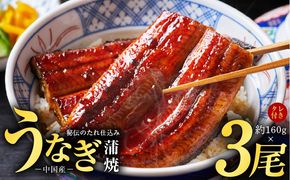 kgp0066-1 うなぎ蒲焼 合計480g【約160g×3尾 特製タレ付 鰻 ウナギ 中国産 レンジ 温めるだけ 簡単調理 ふわふわ 炭火焼き 備長炭 手焼き】